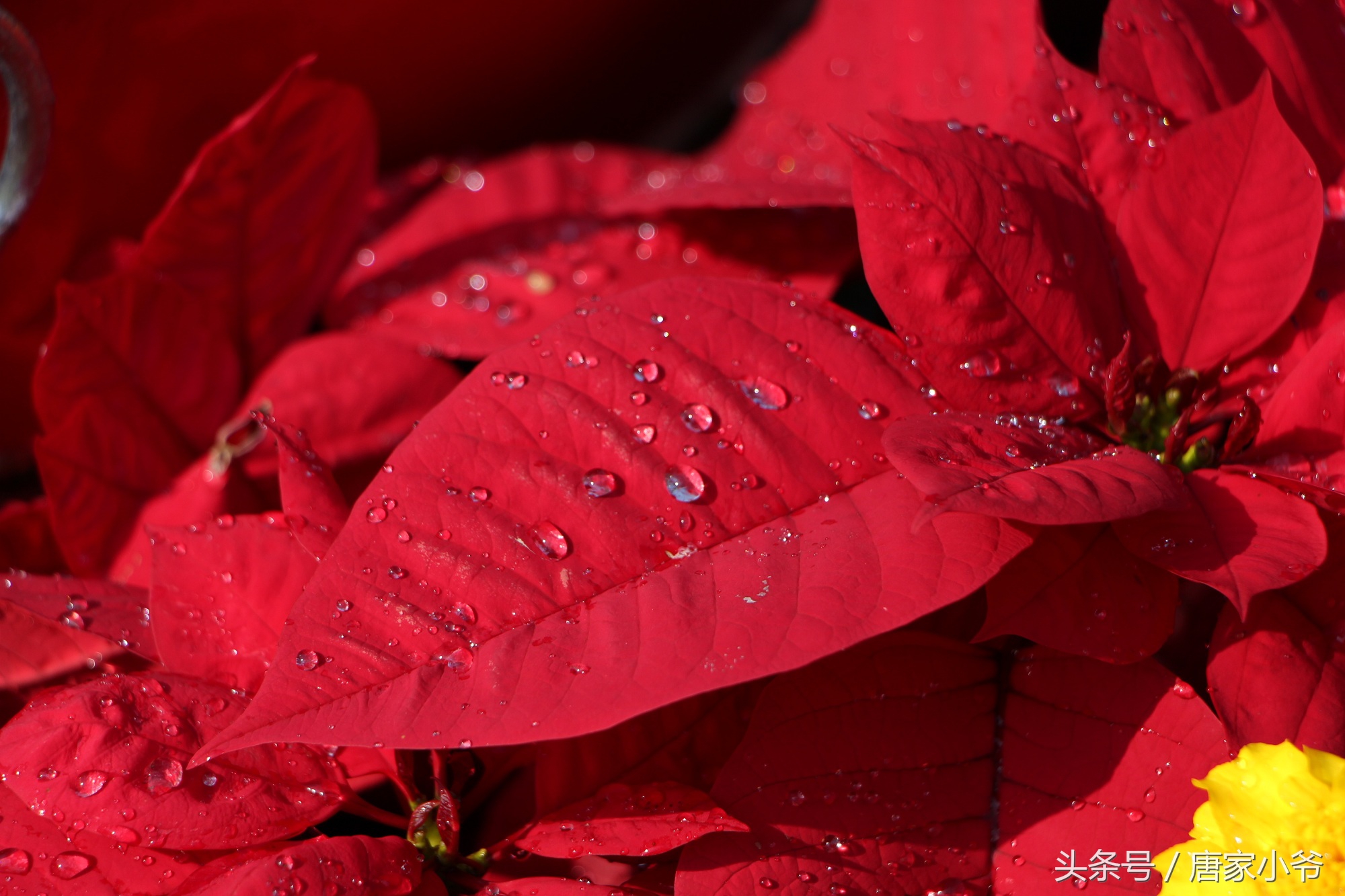 佳能700d样片欣赏,如何快速上手一台佳能700d