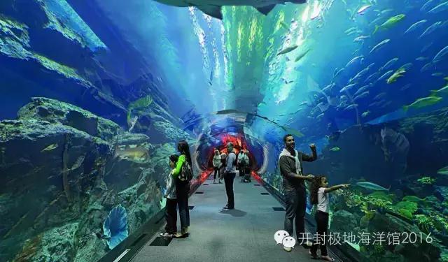 下雨适合去极地海洋世界玩吗,下雨天极地海洋世界