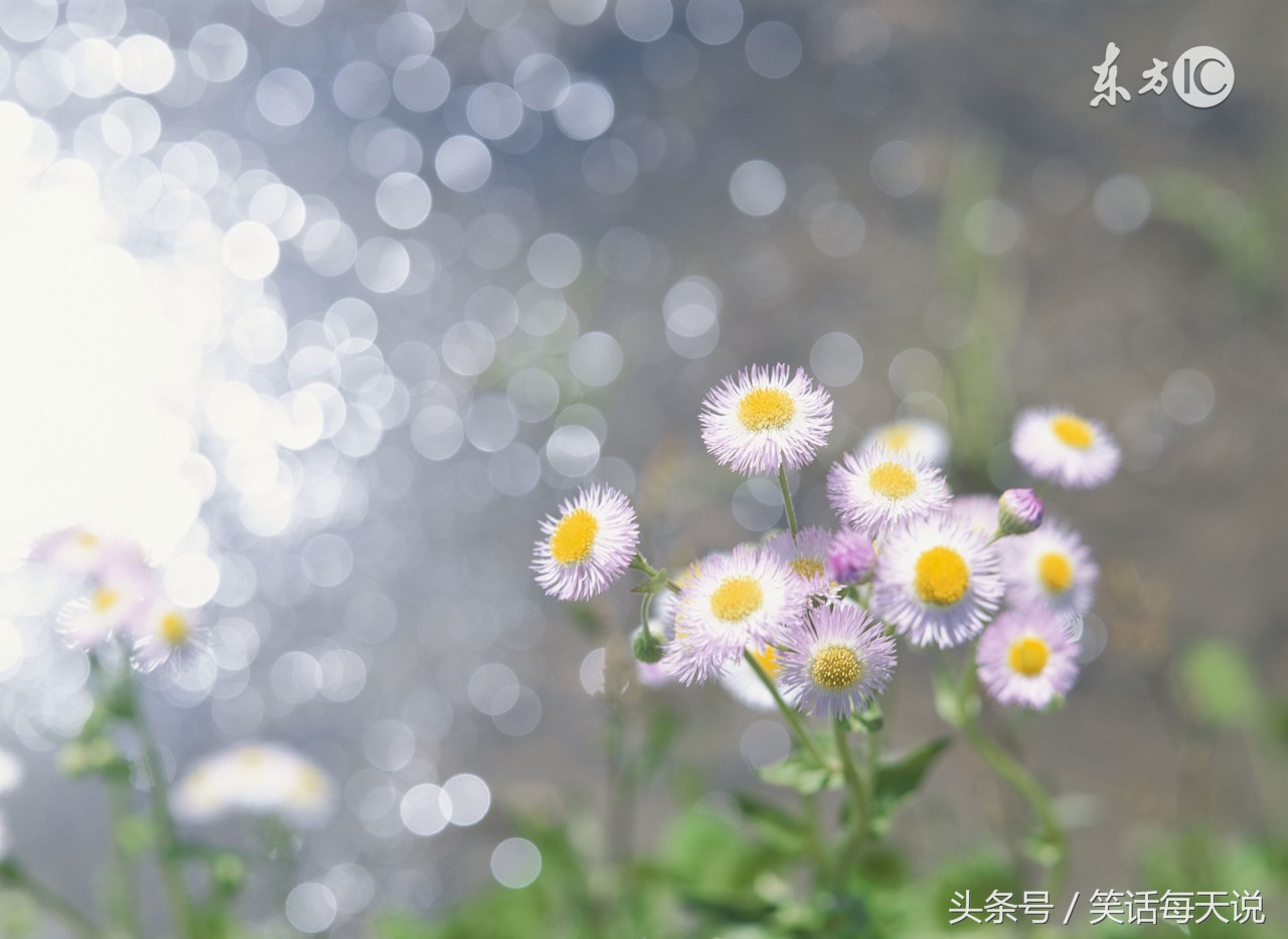 爆笑来袭笑得一塌糊涂,爆笑来袭看你能忍多久不笑