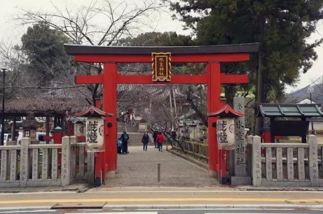 日本奈良看小鹿,日本奈良看小鹿视频