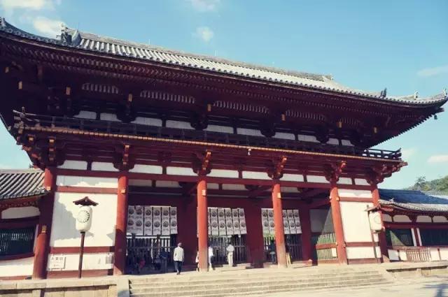 日本奈良看小鹿,日本奈良看小鹿视频