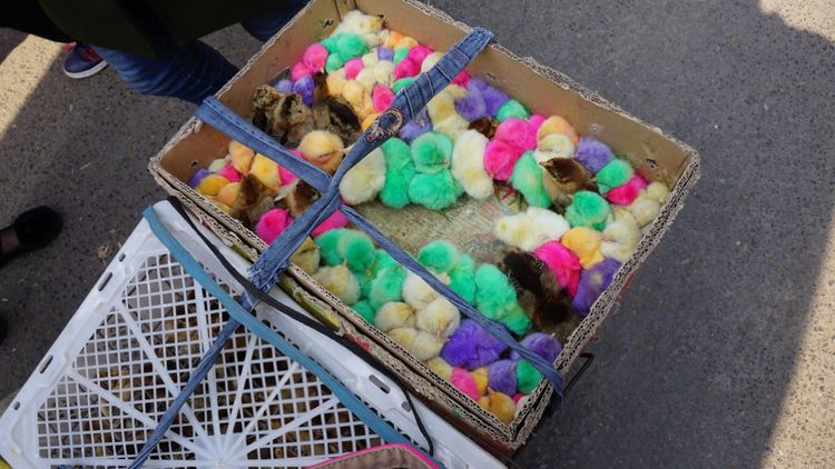 实拍：西安市井的味道