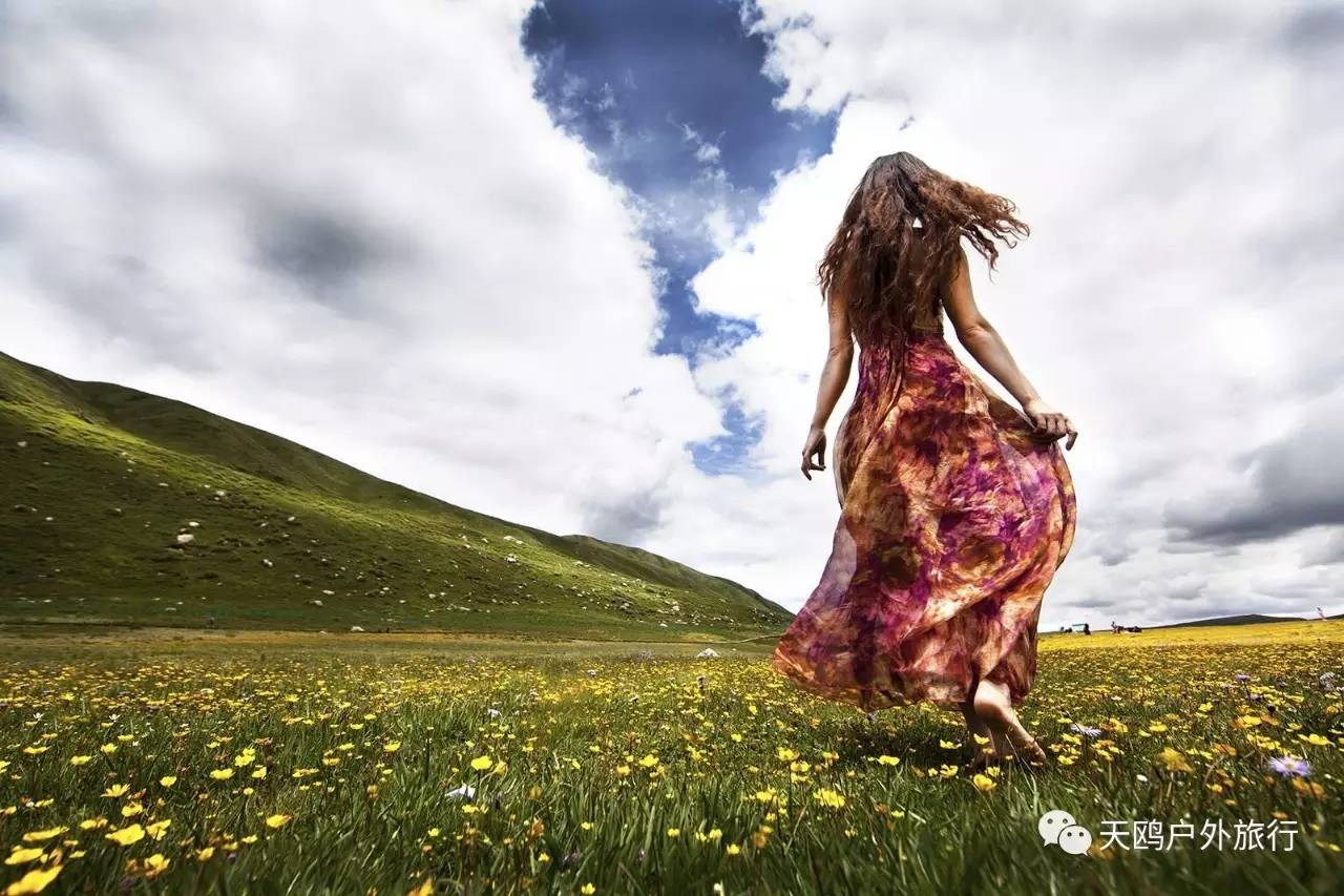 甘青川自驾游，别错过天神的后花园——年宝玉则，集三地之精华