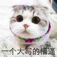 dnf阿修罗安图恩打法,dnf安图恩擎天柱打法