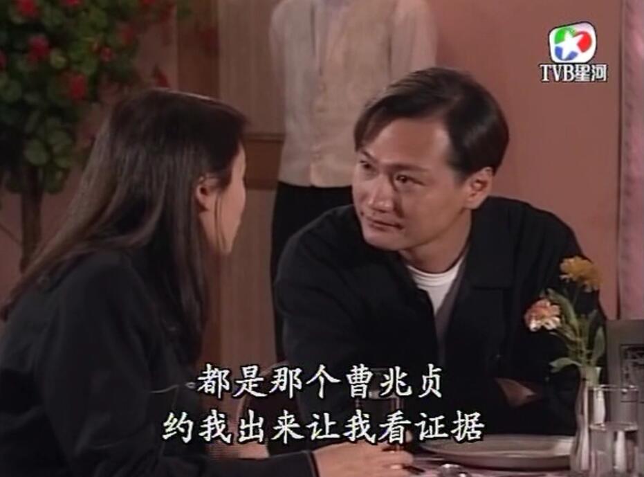 刑事侦缉档案袁天丽马成昌第五集,刑事侦缉档案袁天丽