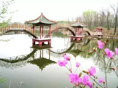 「亮了」魅力辽源，带你玩转清明小长假！