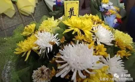 清明陵园交通管制最新,清明墓区交通管制