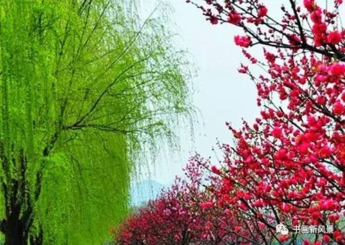 踏青的优美古诗词名句经典,描写春天出游踏青的古诗词