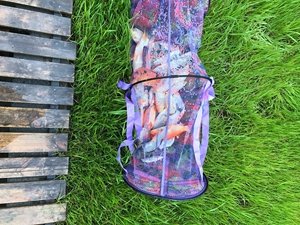 最新黑坑鱼竿测评,黑坑测试鲫鱼3.6米鱼竿推荐