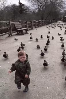 苹果手机怎么掰才容易掰开,苹果手机弯了一点能弄直吗