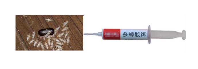 樟脑丸是否可以消灭蟑螂,樟脑丸放衣柜里能驱蟑螂吗