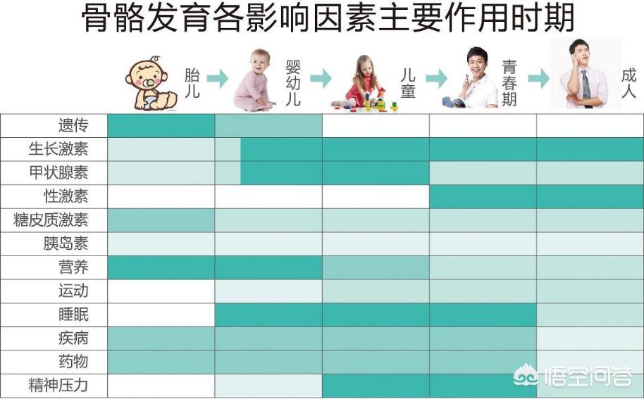 为什么早发育的孩子长不高,孩子突然长高以后会不长个子了吗