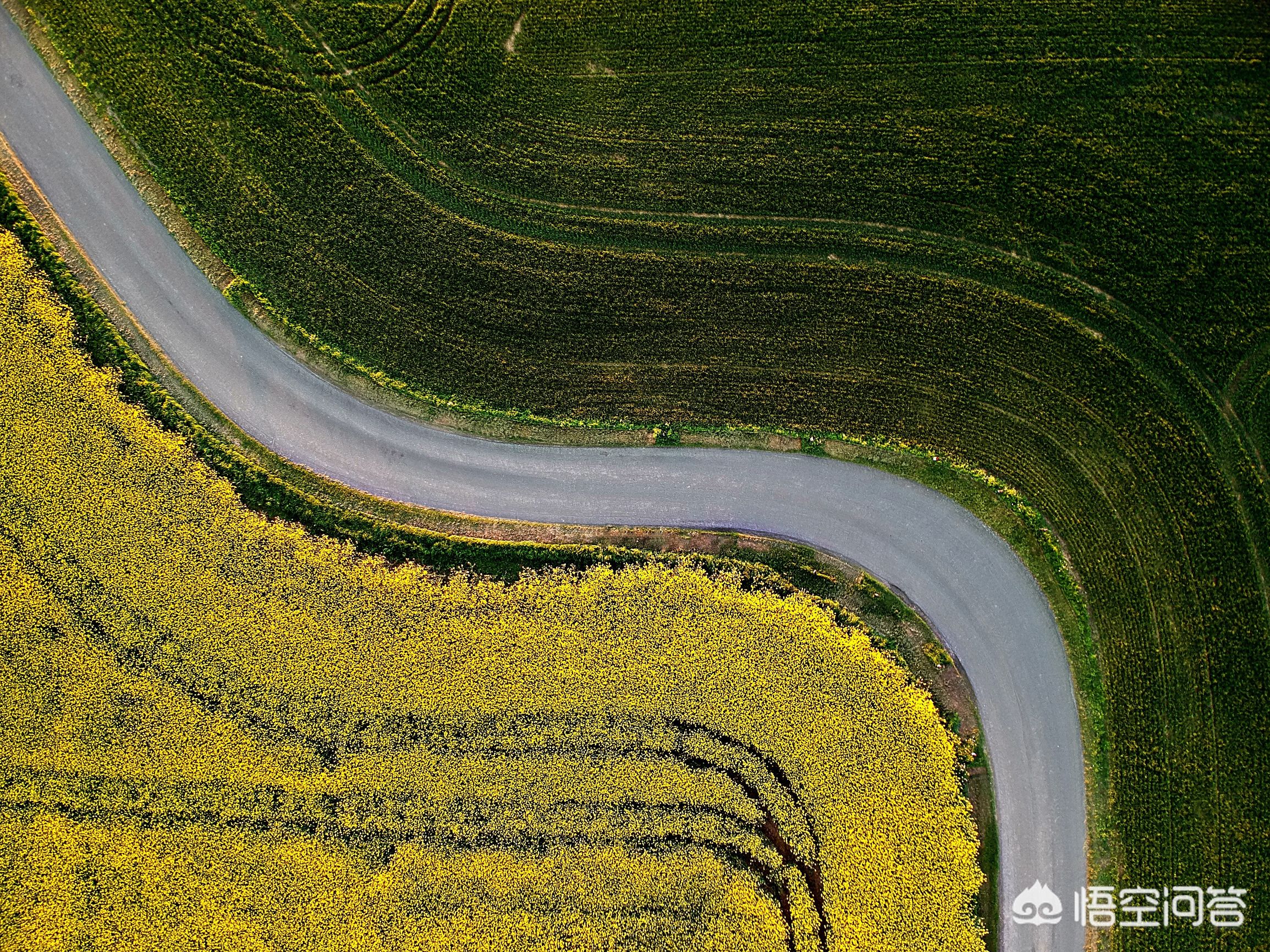 5分钟get十大摄影构图技巧,一般摄影构图常见的4种构图方法