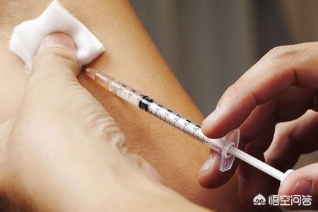 9岁男孩被狗狗舔突发狂犬病,9岁男孩被狗舔伤口病发身亡