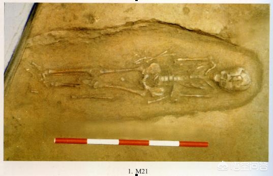 人类细思极恐的历史,人类历史上惨无人道的事件有哪些