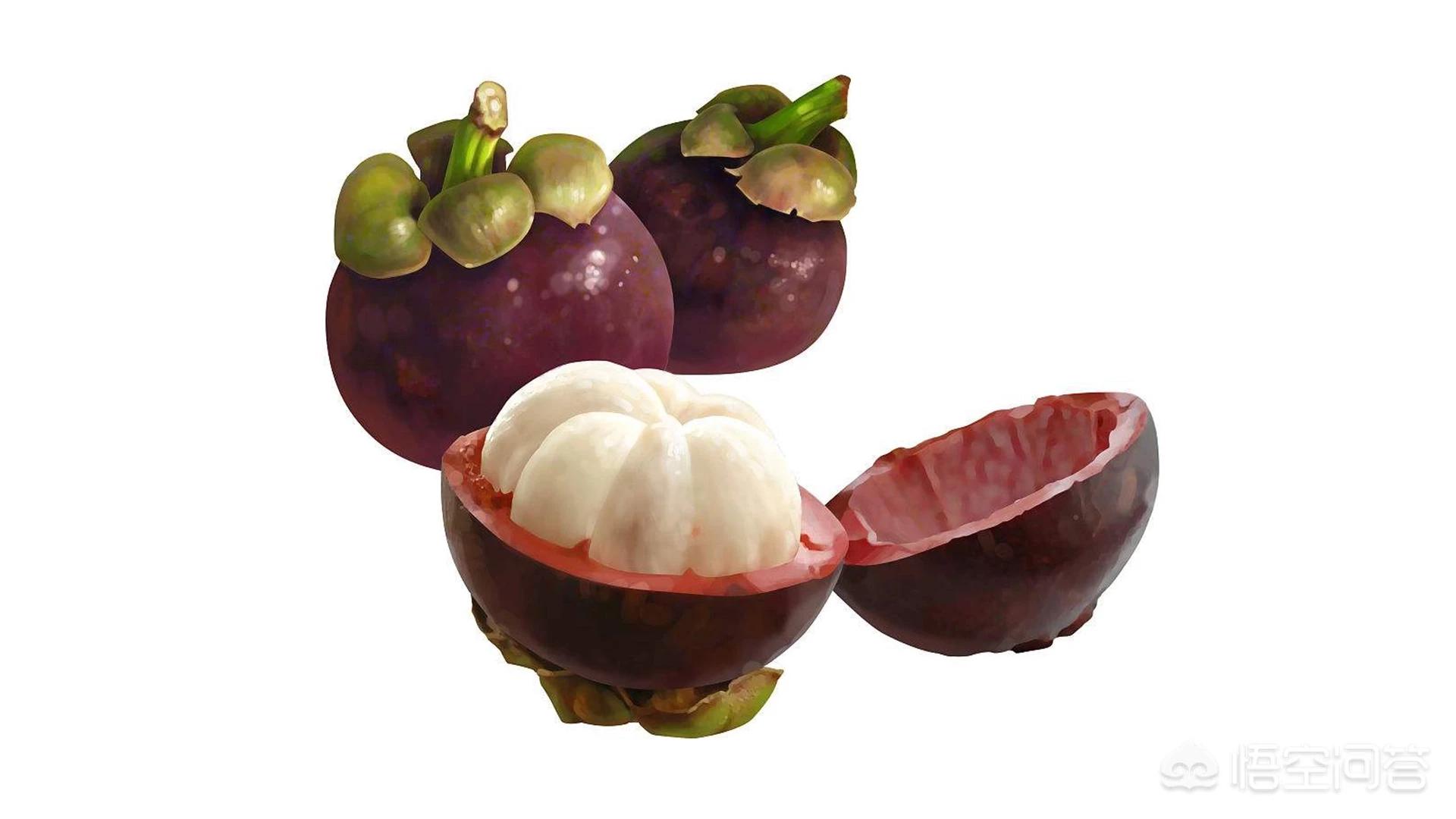 山竹为什么很贵科普,山竹为什么那么贵有什么神奇功效