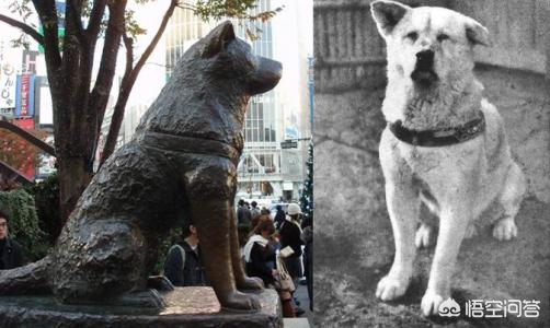 每日推荐10部经典电影,只推荐一部电影