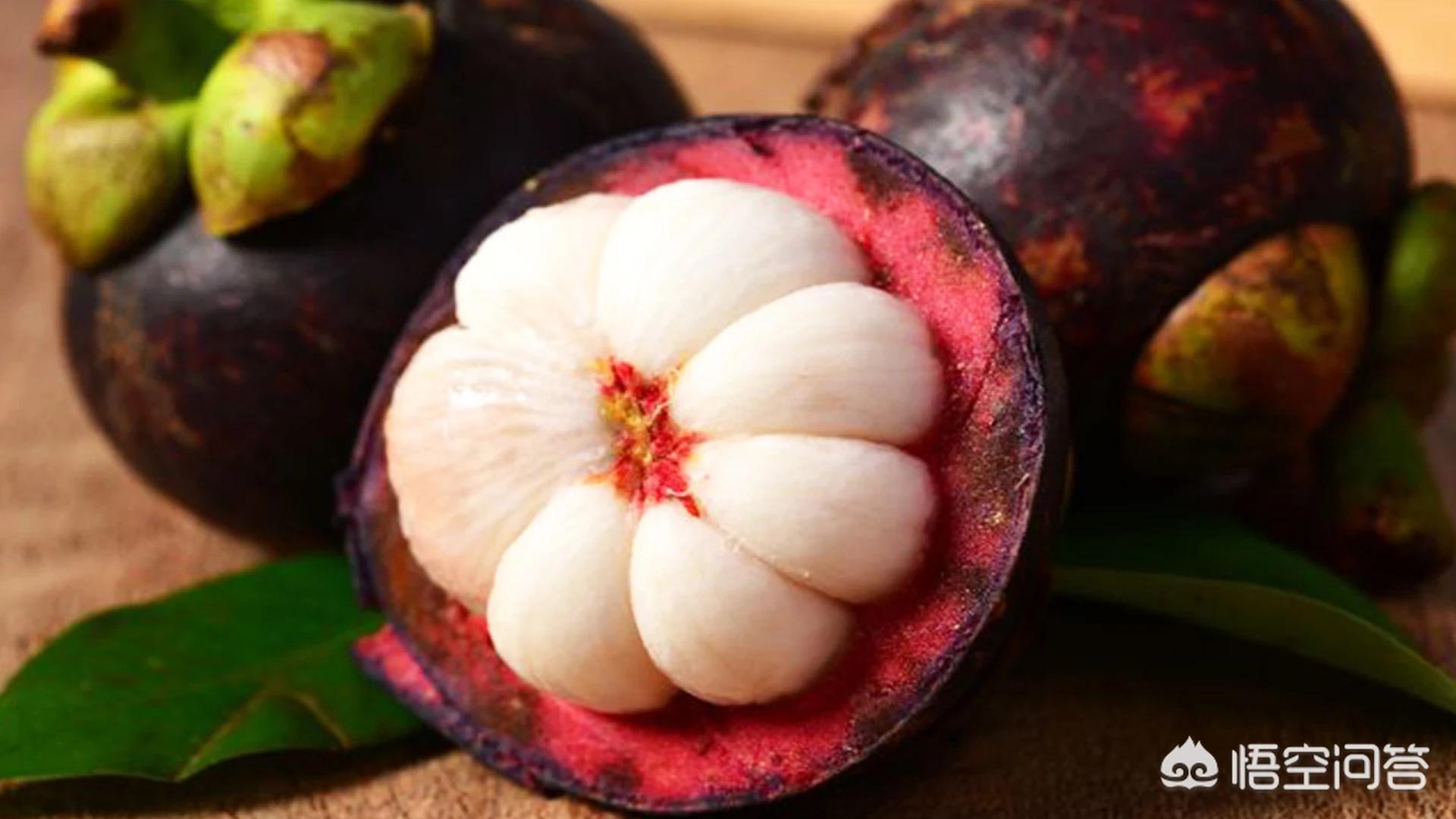 山竹为什么很贵科普,山竹为什么那么贵有什么神奇功效