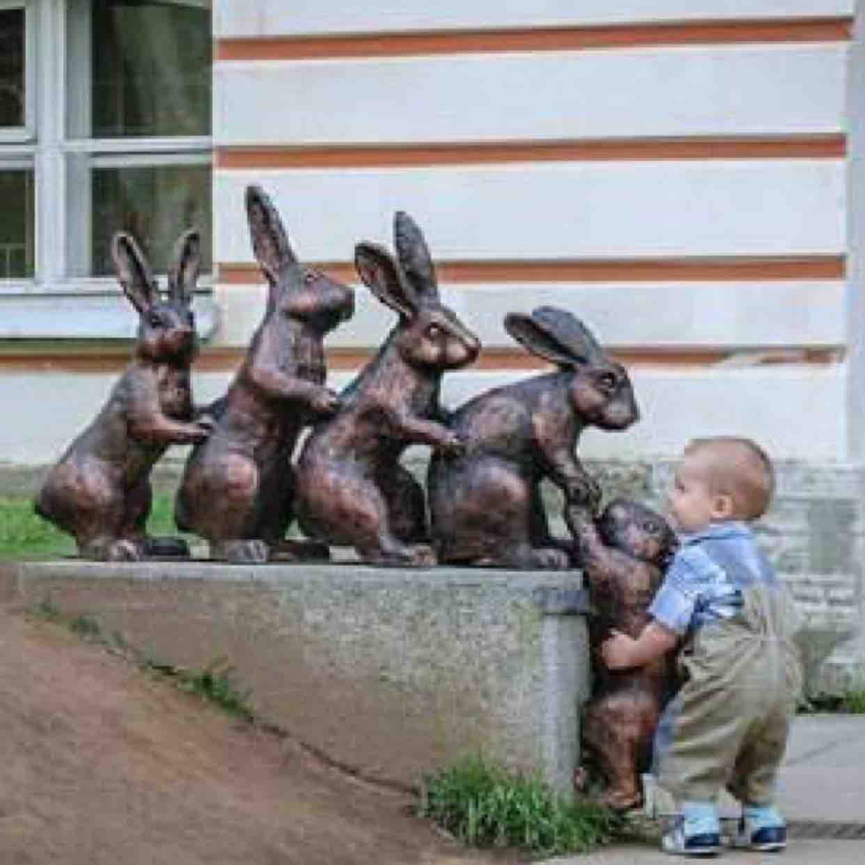 zukedge刷flyme,zukedge刷flyme怎么样