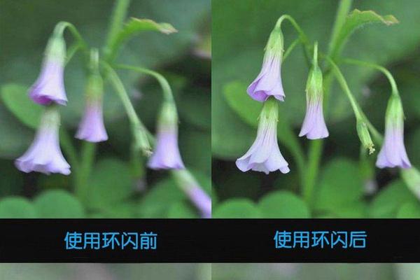 手机圆形闪光灯的优点,手机环形补光灯效果如何