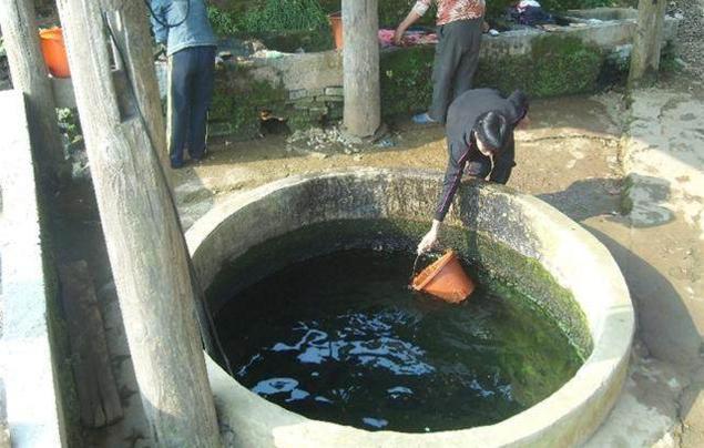 农村水缸里养鲫鱼还是鲤鱼好,农村水缸养鲫鱼