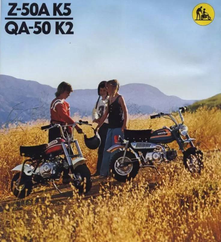 猴猴猴赛雷,猴赛雷猴子视频