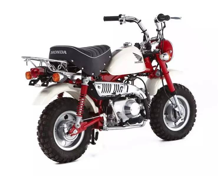 猴猴猴赛雷,猴赛雷猴子视频