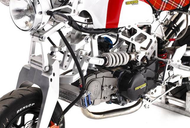 猴猴猴赛雷,猴赛雷猴子视频