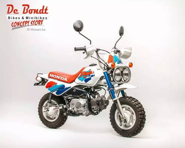 猴猴猴赛雷,猴赛雷猴子视频