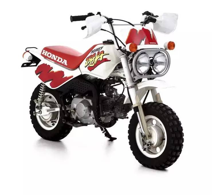 猴猴猴赛雷,猴赛雷猴子视频