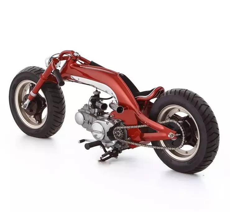 猴猴猴赛雷,猴赛雷猴子视频