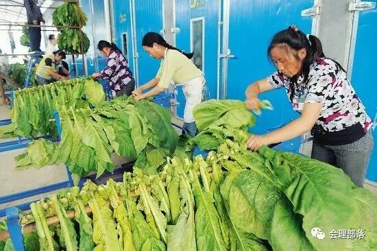 牛人发明全自动卷烟机器视频,牛人自制发明抽烟机