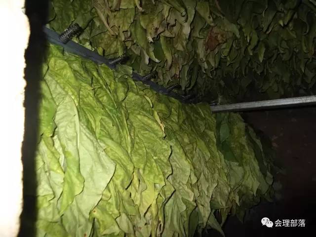 牛人发明全自动卷烟机器视频,牛人自制发明抽烟机