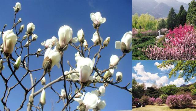 北京清明节出游好去处,清明人少景美的地方