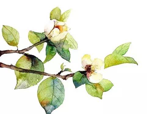 大茅山丨我们不只是红