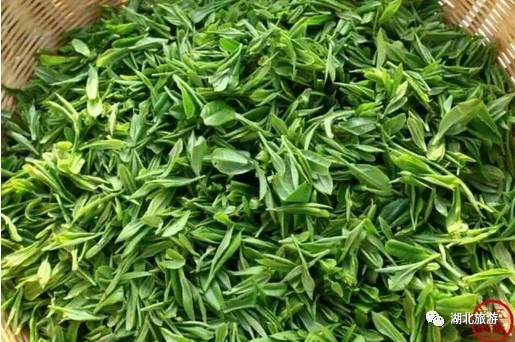 浜斾竴鍘绘櫘娲辫尪灞辨劅鍙楀ぇ鑷劧,娓呮槑鑺傛潵鍒板北閲屼韩鍙楀ぇ鑷劧