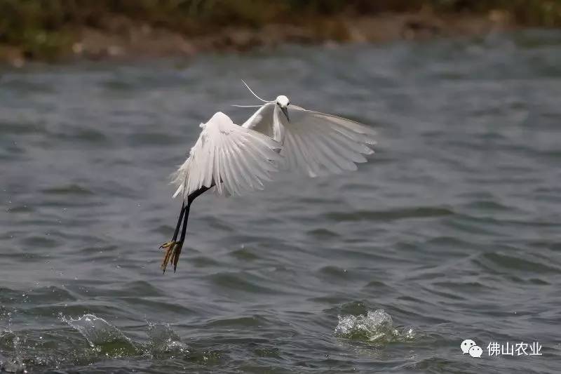 浣涘北婀垮湴瑙傞笩,浣涘北鍗佷匠瑙傞笩鑳滃湴