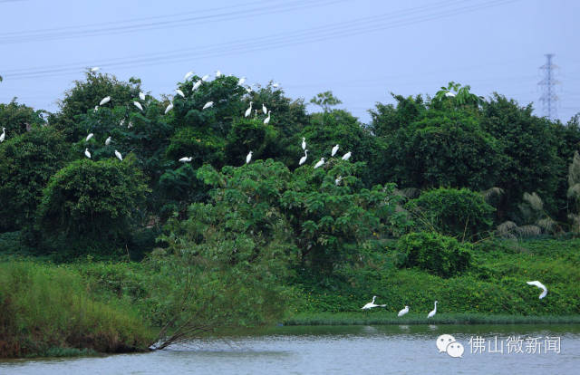 浣涘北婀垮湴瑙傞笩,浣涘北鍗佷匠瑙傞笩鑳滃湴