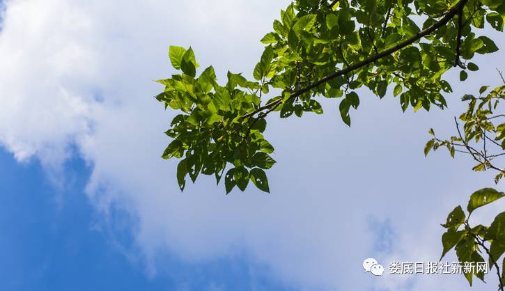 终于天晴了!世界那么大,家乡那么美,我想去看看!比如新化这个未被发现的古村落!