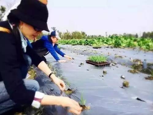 白云村多利农庄,郫都区红光街道白云村