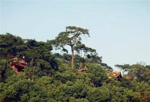 青田旅游路线推荐,青田周末自驾游