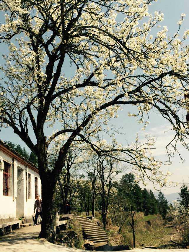 青田旅游路线推荐,青田周末自驾游