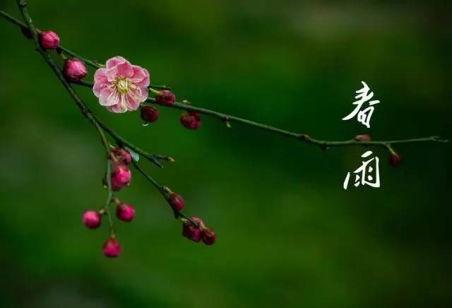 「便民提示」周末雨停气温升!下周停电信息早知道!