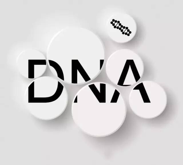 无亲子鉴定怎么认定亲子关系,无出生证亲子鉴定