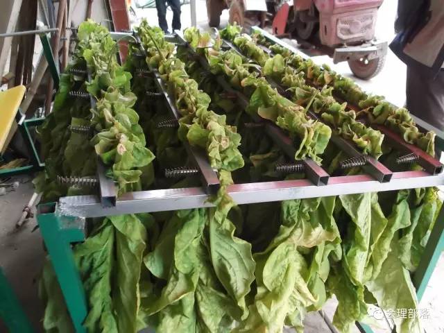 牛人发明全自动卷烟机器视频,牛人自制发明抽烟机