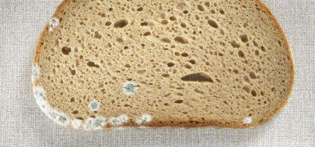 宁波慈溪一企业13亿*款贷**违约7家银行苦*债讨**