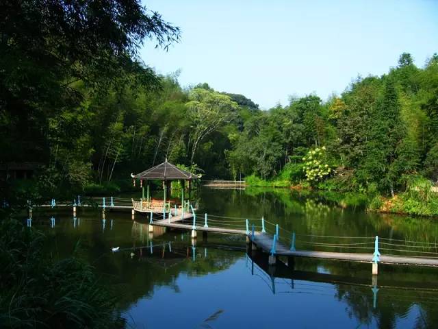 赣州4a级以上国有旅游景区,江西赣州的旅游景区有哪些