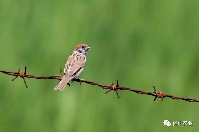 浣涘北婀垮湴瑙傞笩,浣涘北鍗佷匠瑙傞笩鑳滃湴
