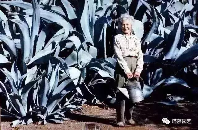 美国109岁老奶奶,109岁奶奶美国