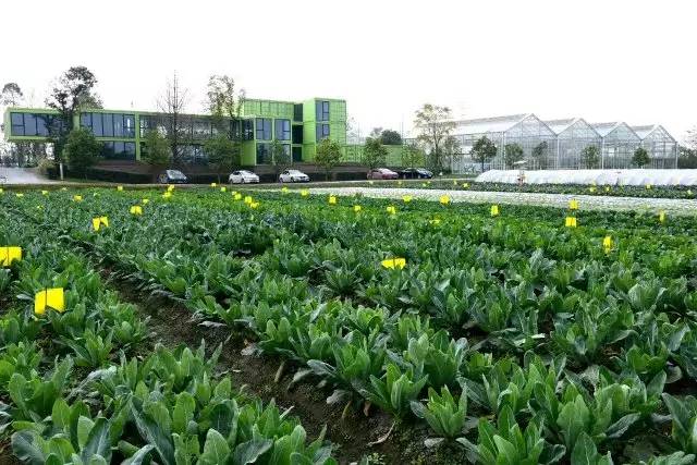 白云村多利农庄,郫都区红光街道白云村